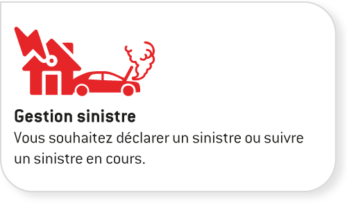 Gestion sinistre
